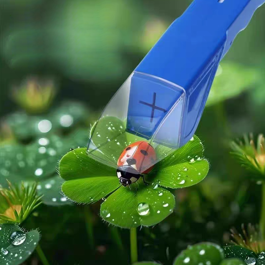 กล่องจับแมลงสำหรับเด็ก พร้อมแว - Kids Outdoor Nature Toys บทวิจารณ์และราคา